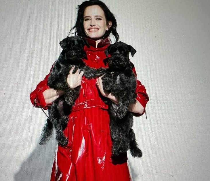 Eva Green loves animals, especially dogs